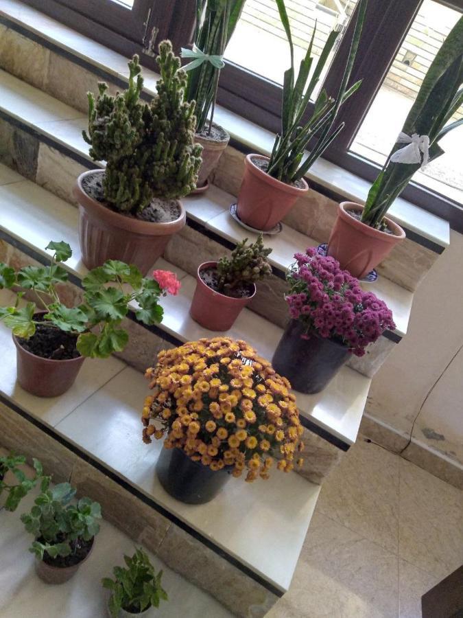 Uzbegim Family Guest House 布哈拉 外观 照片